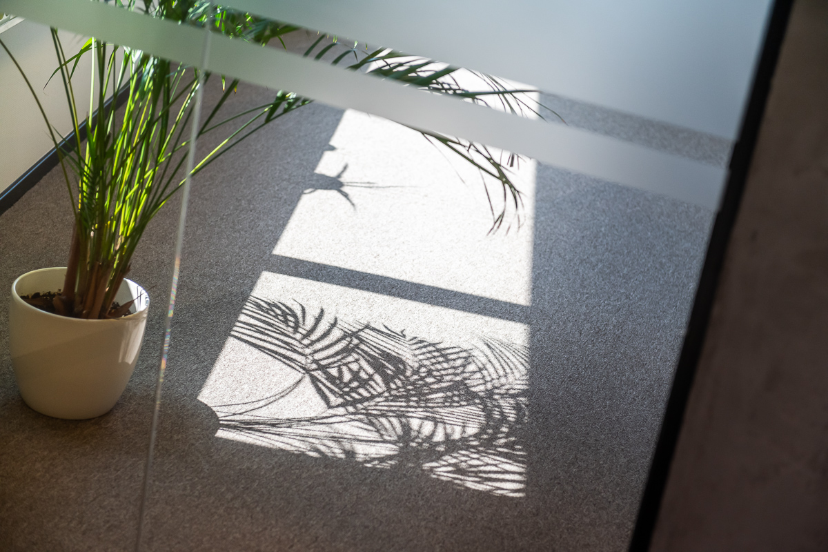 Glaswand met taupe tapijttegels op kantoor